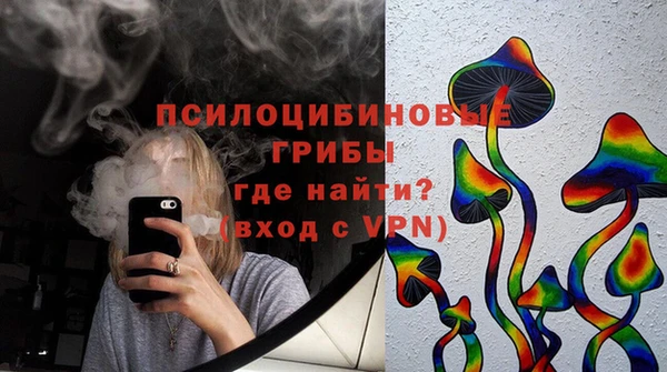 тгк Арсеньев