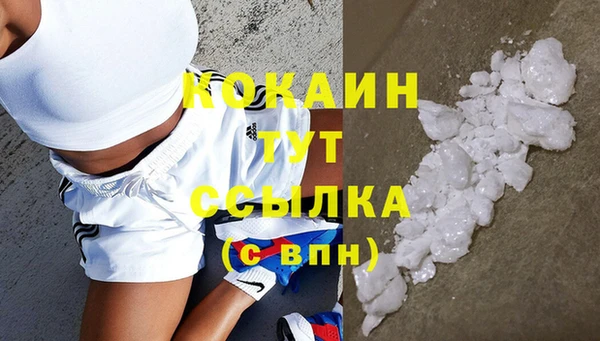 тгк Арсеньев